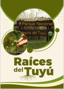 Lee más sobre el artículo Raíces del Tuyú