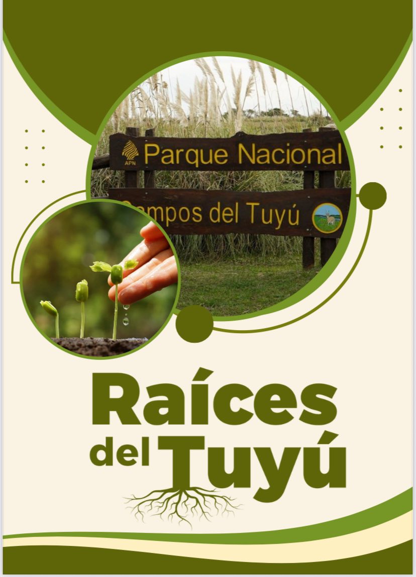 Lee más sobre el artículo Raíces del Tuyú